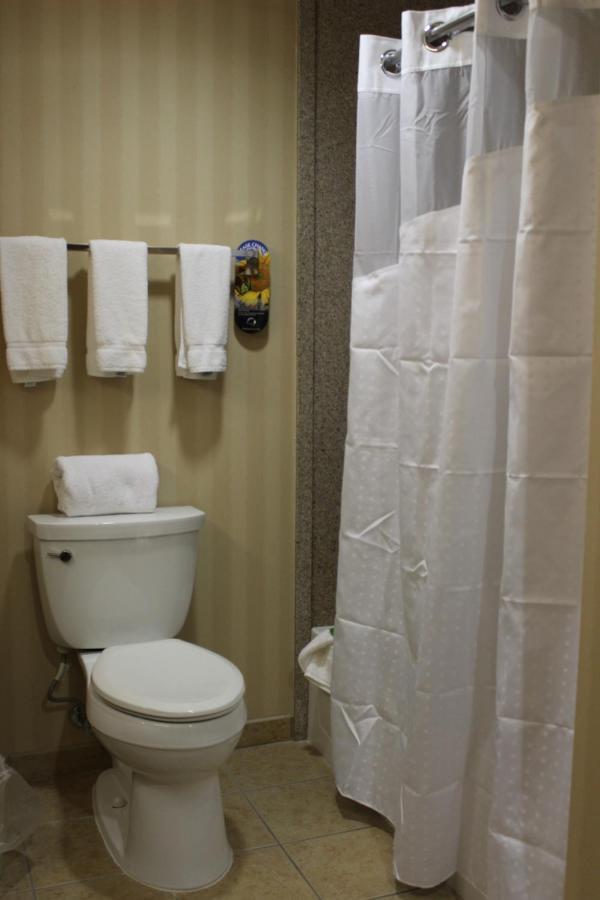 Holiday Inn Express Tehachapi By Ihg Rum bild